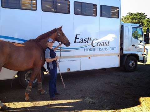 Photo: East Coast Horse Transport